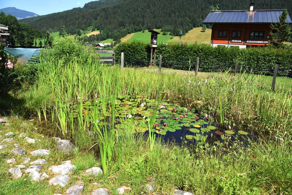 Fruehstueckspension Pachler Gosau Exterior foto